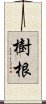 樹根 Scroll