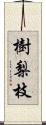 樹梨枝 Scroll