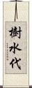 樹水代 Scroll