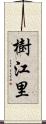 樹江里 Scroll