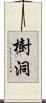 樹洞 Scroll