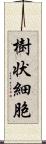 樹状細胞 Scroll