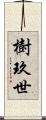樹玖世 Scroll