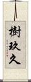 樹玖久 Scroll