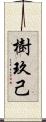 樹玖己 Scroll