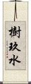 樹玖水 Scroll