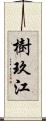 樹玖江 Scroll