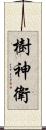 樹神衛 Scroll