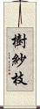 樹紗枝 Scroll