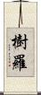 樹羅 Scroll