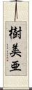 樹美亜 Scroll