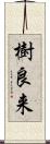 樹良来 Scroll