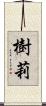 樹莉 Scroll
