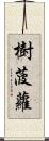 樹菠蘿 Scroll