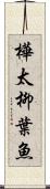 樺太柳葉魚 Scroll
