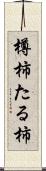 樽柿 Scroll