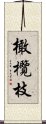 橄欖枝 Scroll