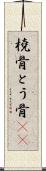 橈骨 Scroll