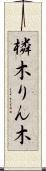 橉木 Scroll