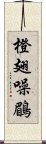 橙翅噪鶥 Scroll