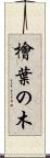 檜葉の木 Scroll