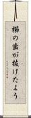 櫛の歯が抜けたよう Scroll
