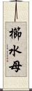 櫛水母 Scroll