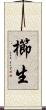 櫛生 Scroll