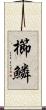 櫛鱗 Scroll