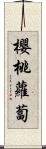 櫻桃蘿蔔 Scroll