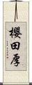 櫻田厚 Scroll
