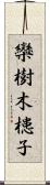 欒樹 Scroll
