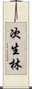 次生林 Scroll