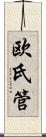欧氏管 Scroll