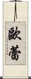 歐蕾 Scroll