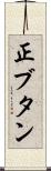 正ブタン Scroll