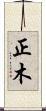 正木 Scroll