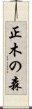 正木の森 Scroll