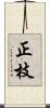 正枝 Scroll