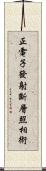 正電子發射斷層照相術 Scroll