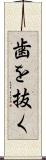 歯を抜く Scroll