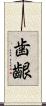 歯齦 Scroll