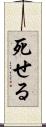死せる Scroll