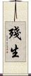 殘生 Scroll