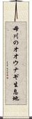 母川のオオウナギ生息地 Scroll