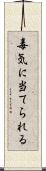 毒気に当てられる Scroll