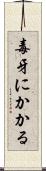 毒牙にかかる Scroll