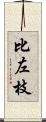 比左枝 Scroll