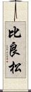 比良松 Scroll