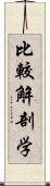 比較解剖学 Scroll